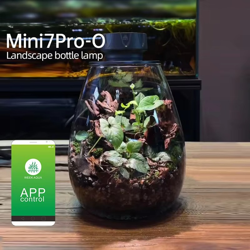Planted Tank - COB نبات Microlandscape ملء ضوء سطح