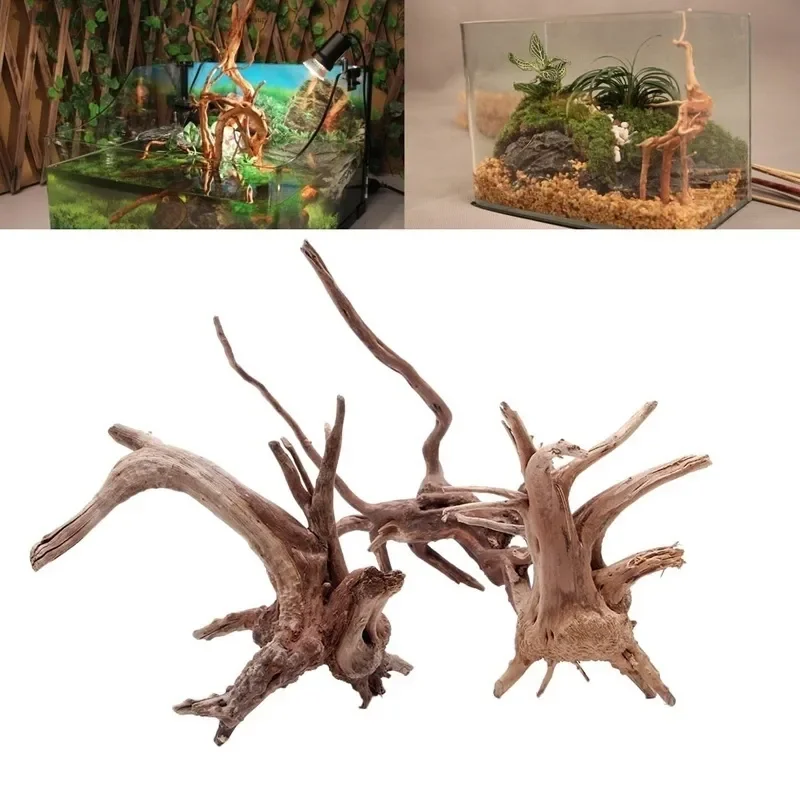 Aquarium Plants Live - شجرة طبيعية جذع Driftwood لحوض السمك