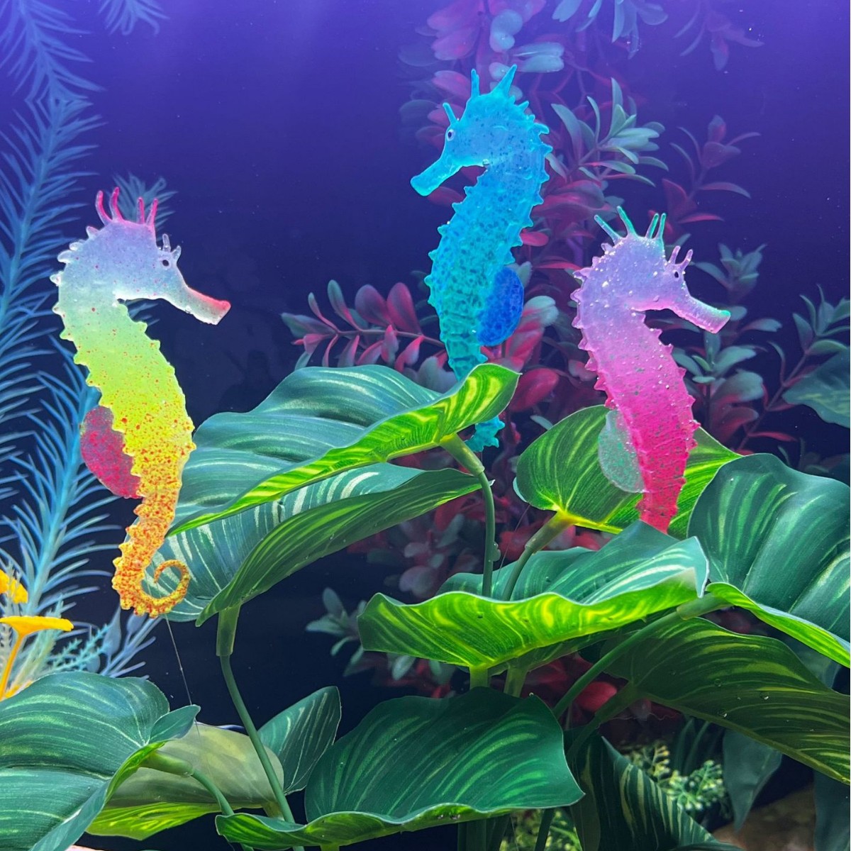 Aquarium Plant Substrate - زينة حوض السمك على شكل فرس