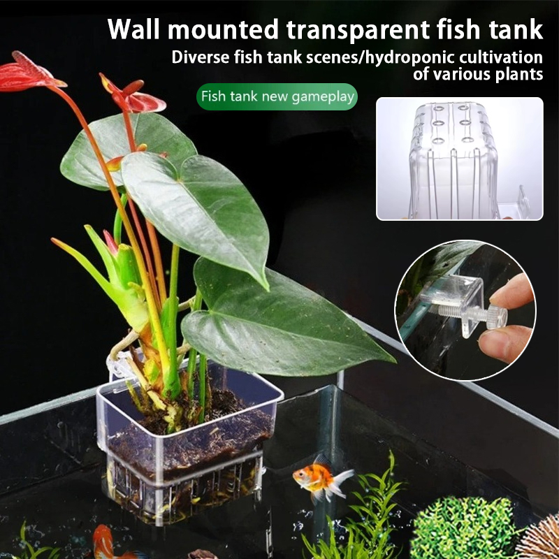Plant Aquarium Pot - أكواب زرع معلقة للأحواض المائية، حامل
