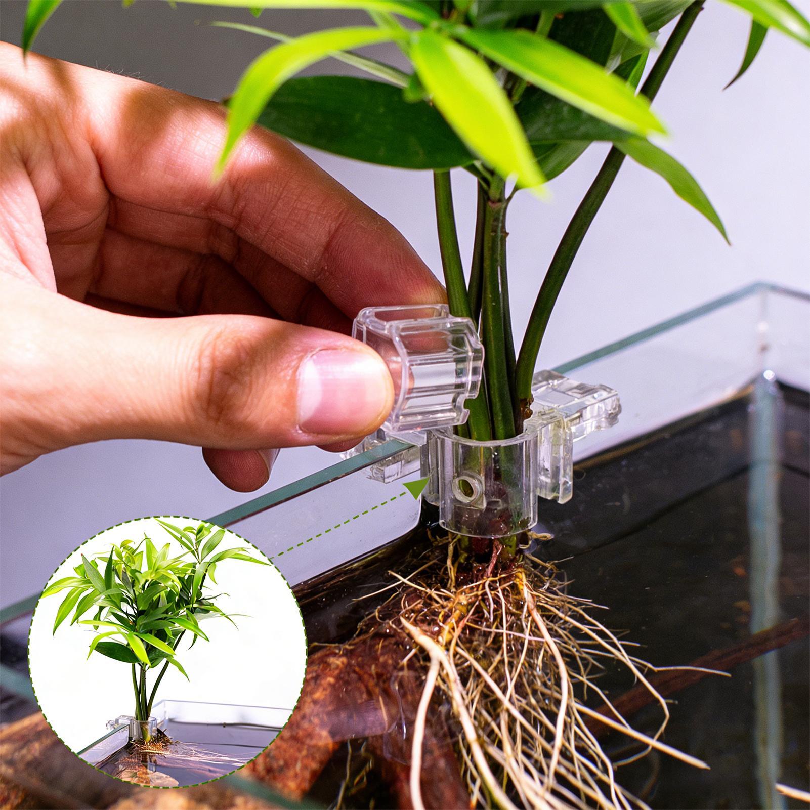 Aquarium Fertilizer - وعاء زراعة صغير لحوض السمك، 6