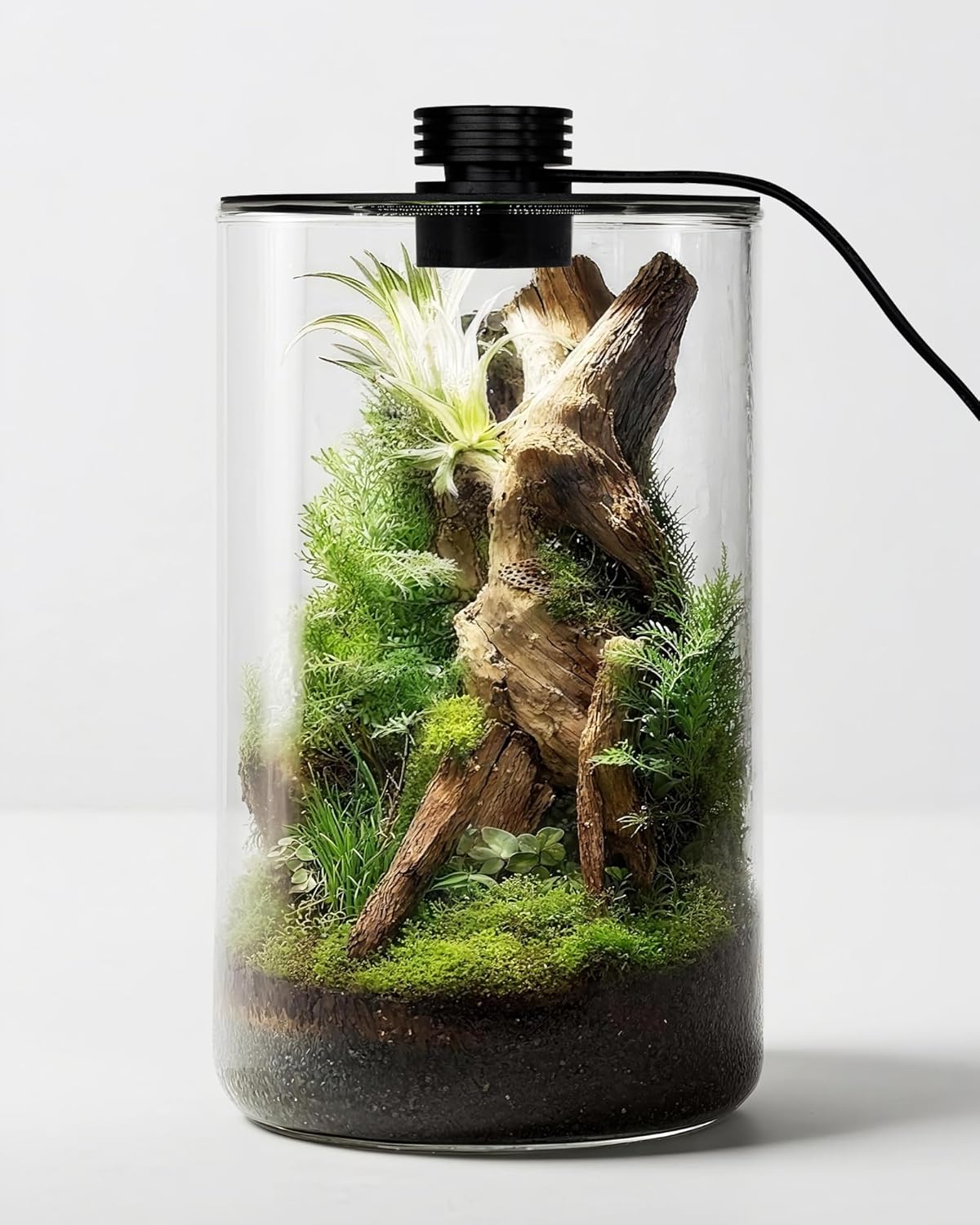 Planted Tank - حوض زجاجي داخلي مع إضاءة نمو