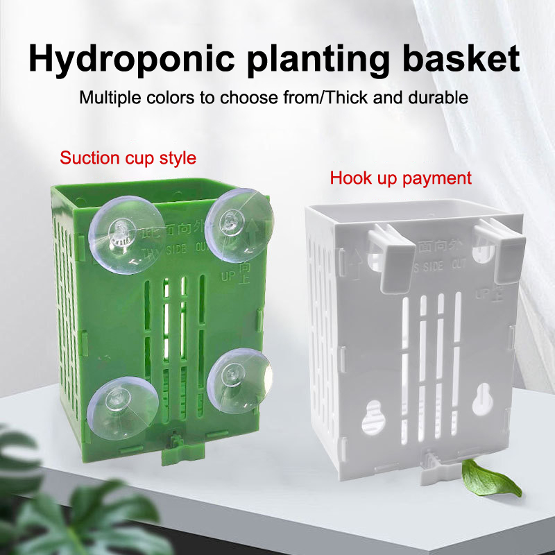 معلقة شفط كأس هوك حامل نبات حو - مراجعة Aquarium Plant Holder وسعره