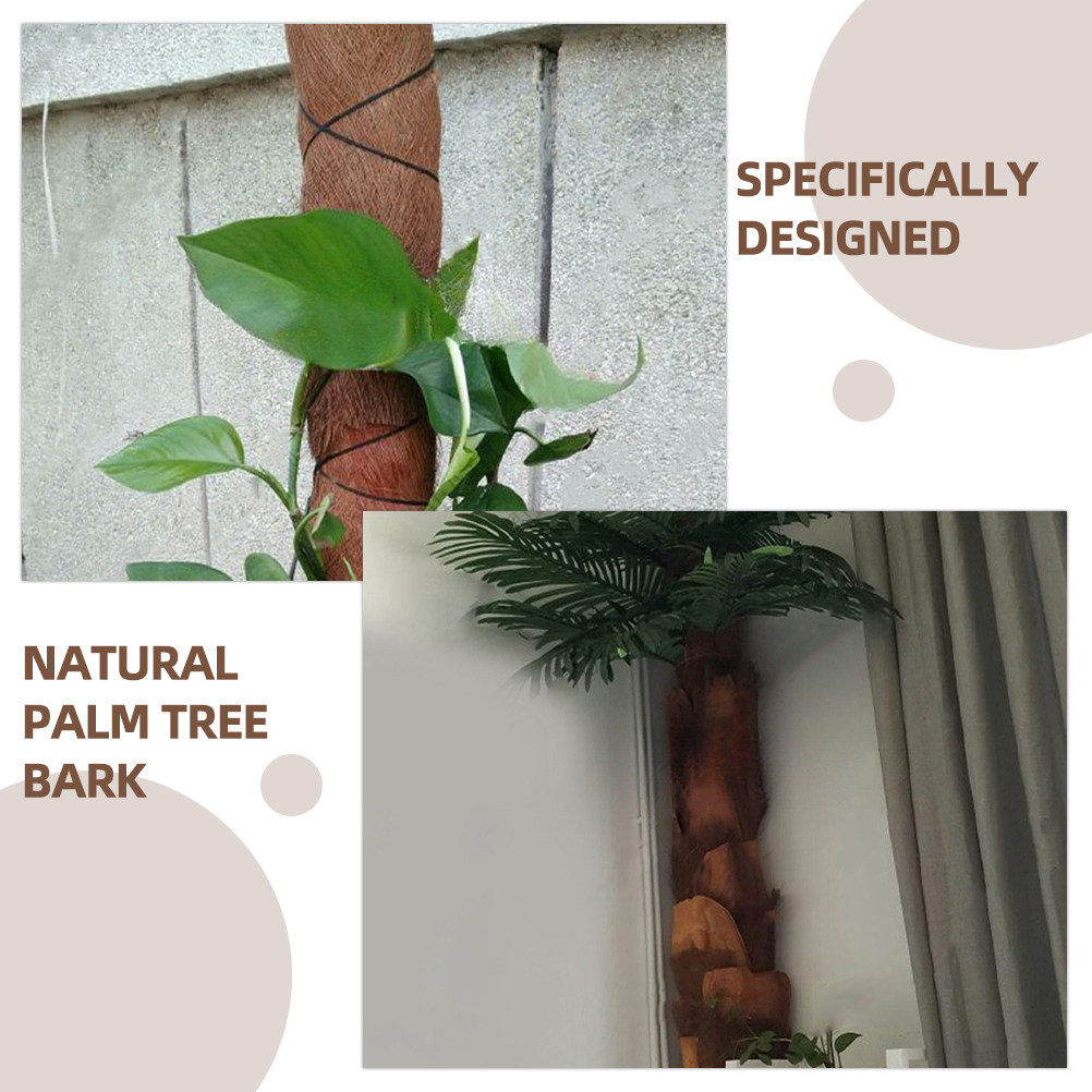 5 أوراق من لحاء نبات النخيل ال - مراجعة Plant Aquarium Pot وسعره