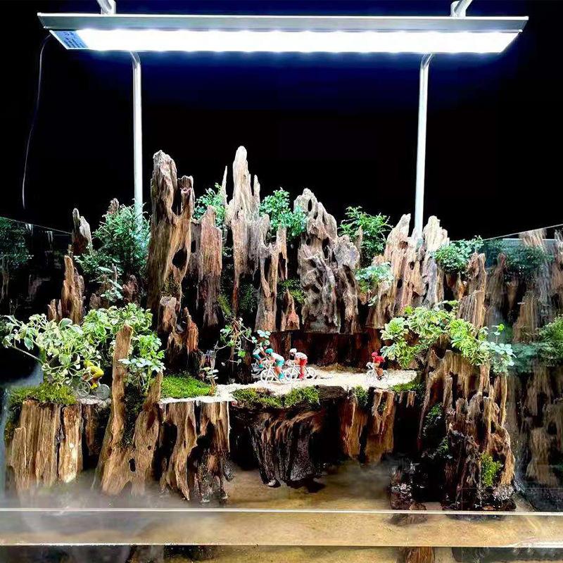ديكور خشبي لحوض السمك، خشب طاف - مراجعة Aquarium Driftwood وسعره
