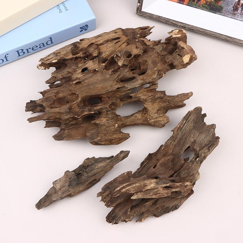 ديكور خشبي لحوض السمك، خشب طاف - مراجعة Aquarium Driftwood وسعره