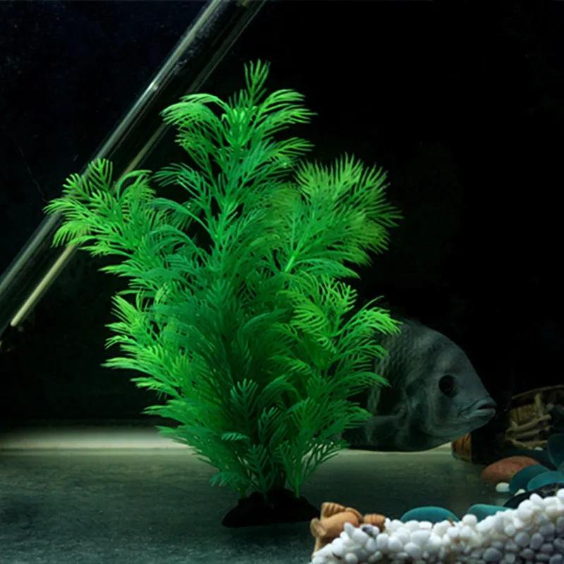 نباتات ديكور حوض السمك الاصطنا - مراجعة Aquarium Plants Live وسعره