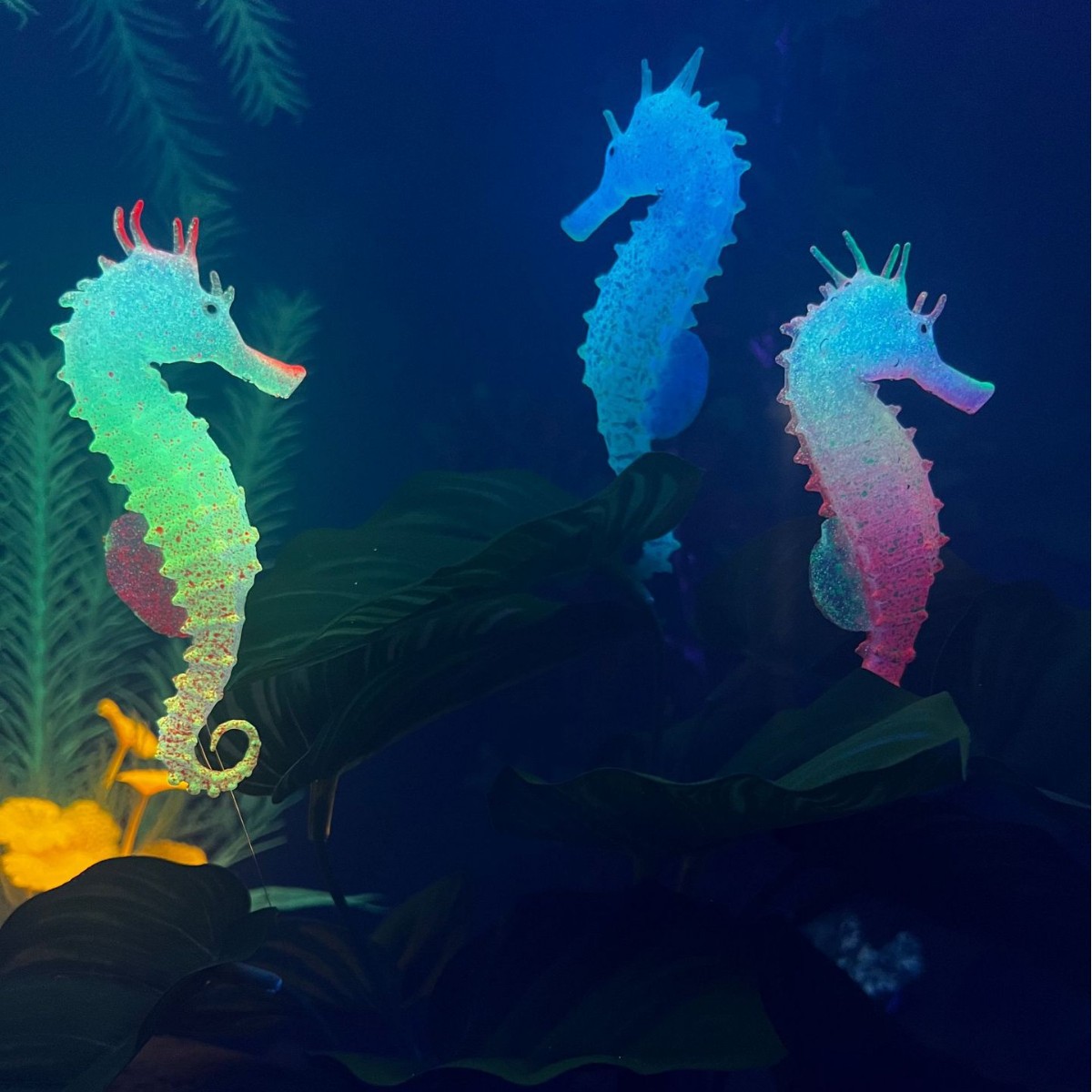 زينة حوض السمك على شكل فرس الب - مراجعة Aquarium Plant Substrate وسعره