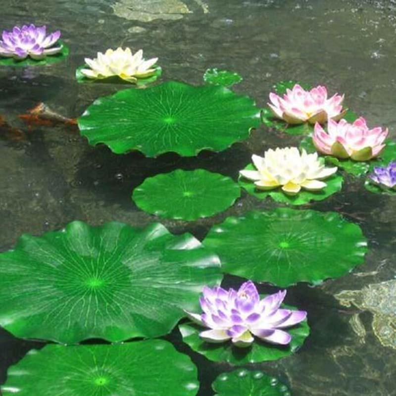 أوراق زنبق الماء الاصطناعية 20 - مراجعة Aquarium Moss وسعره