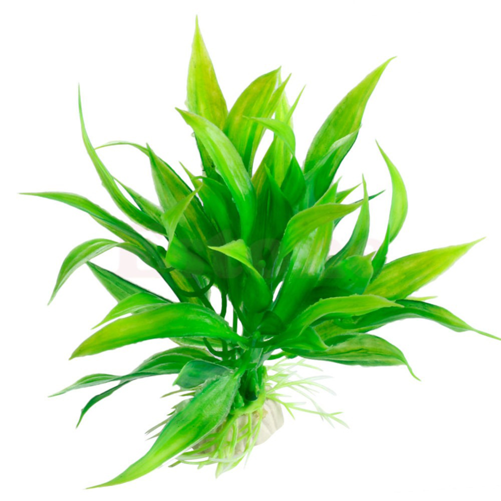 15 سنتيمتر/10 سنتيمتر تحت الما - مراجعة Live Plant Aquarium وسعره