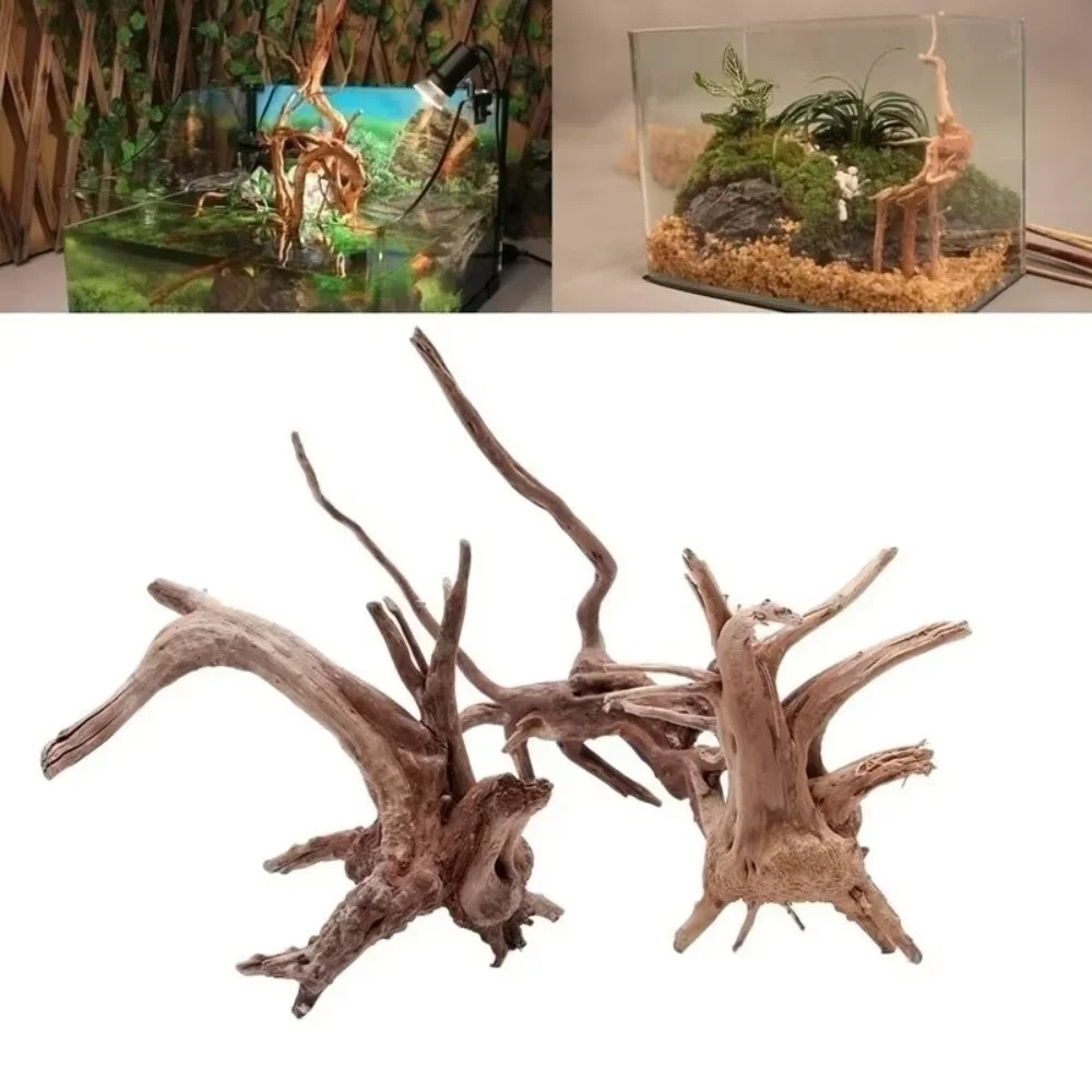 ديكور حوض السمك من الخشب الطبي - مراجعة Aquarium Plant Substrate وسعره