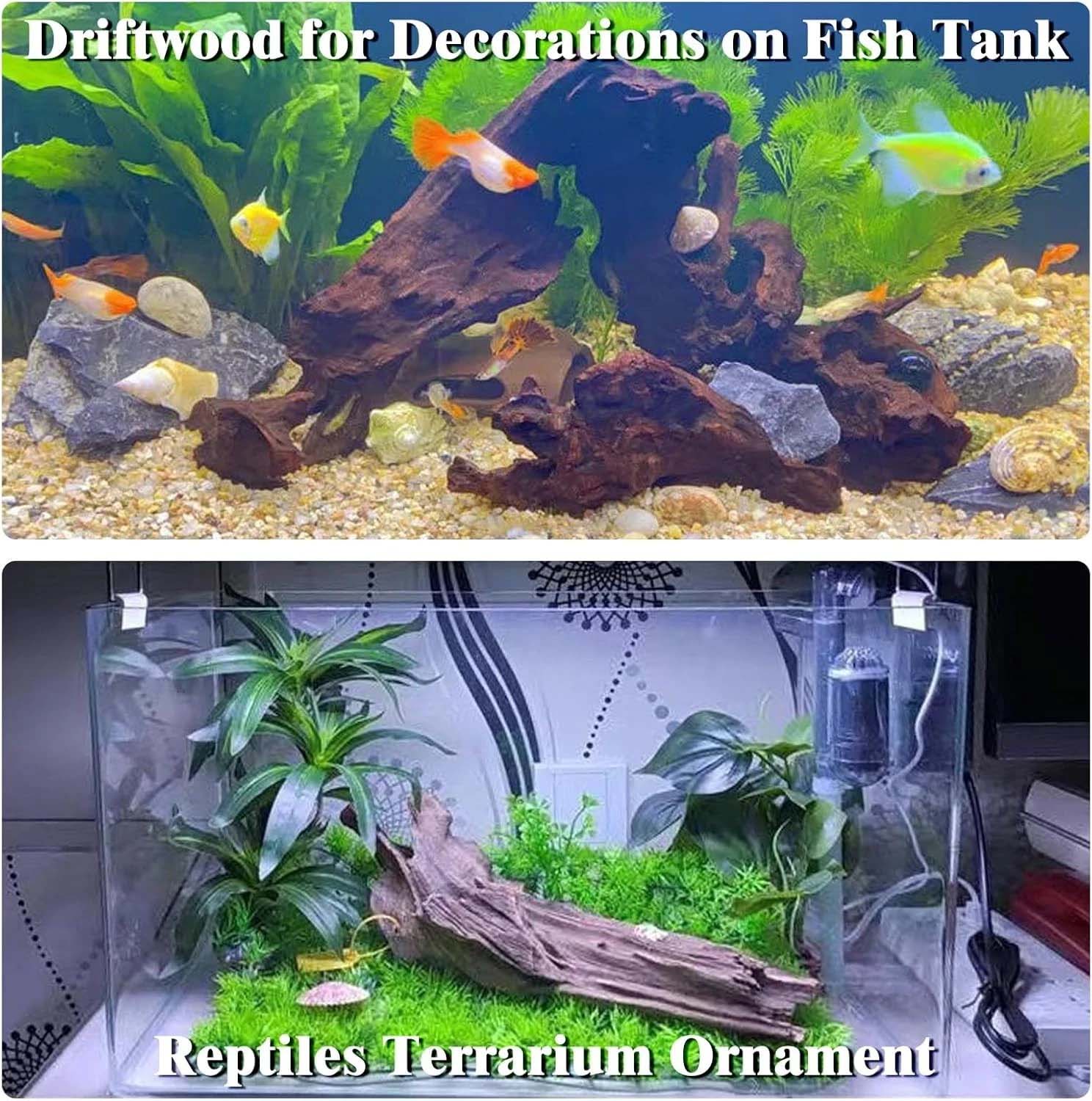 قطعة واحدة من الخشب الطبيعي ال - مراجعة Aquarium Plants Live وسعره