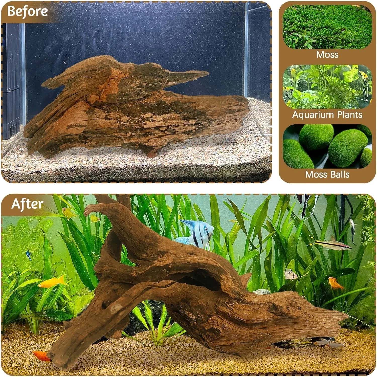 قطعة واحدة من الخشب الطبيعي ال - مراجعة Aquarium Plants Live وسعره