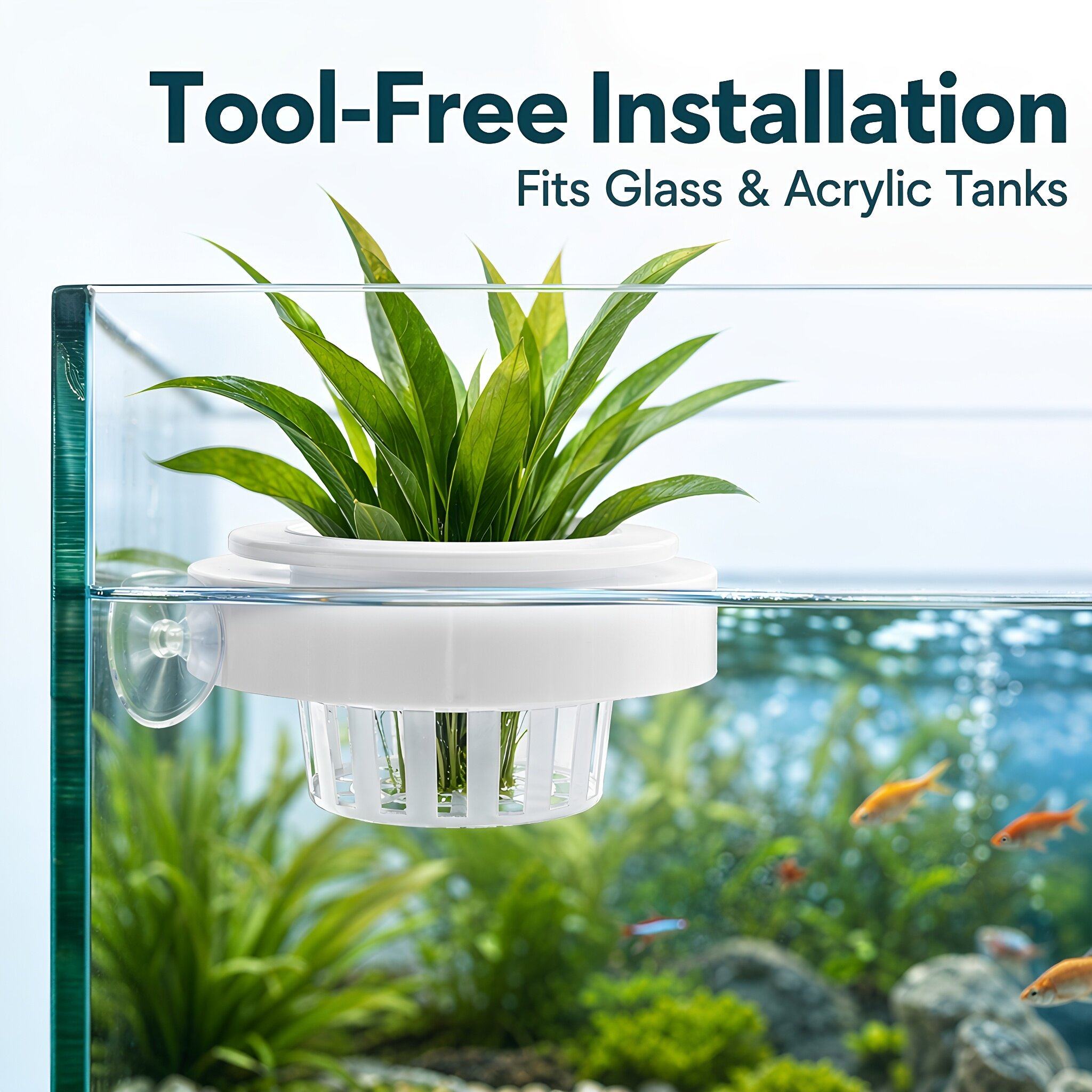 4 قطع من سلال نباتات الأحواض ا - مراجعة Planted Tank وسعره