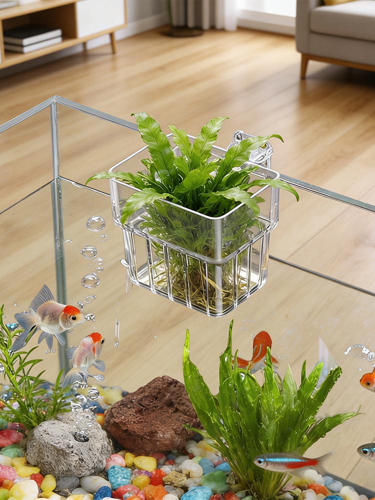 حامل نباتات الأحواض المائية ال - مراجعة Plant Aquarium Pot وسعره