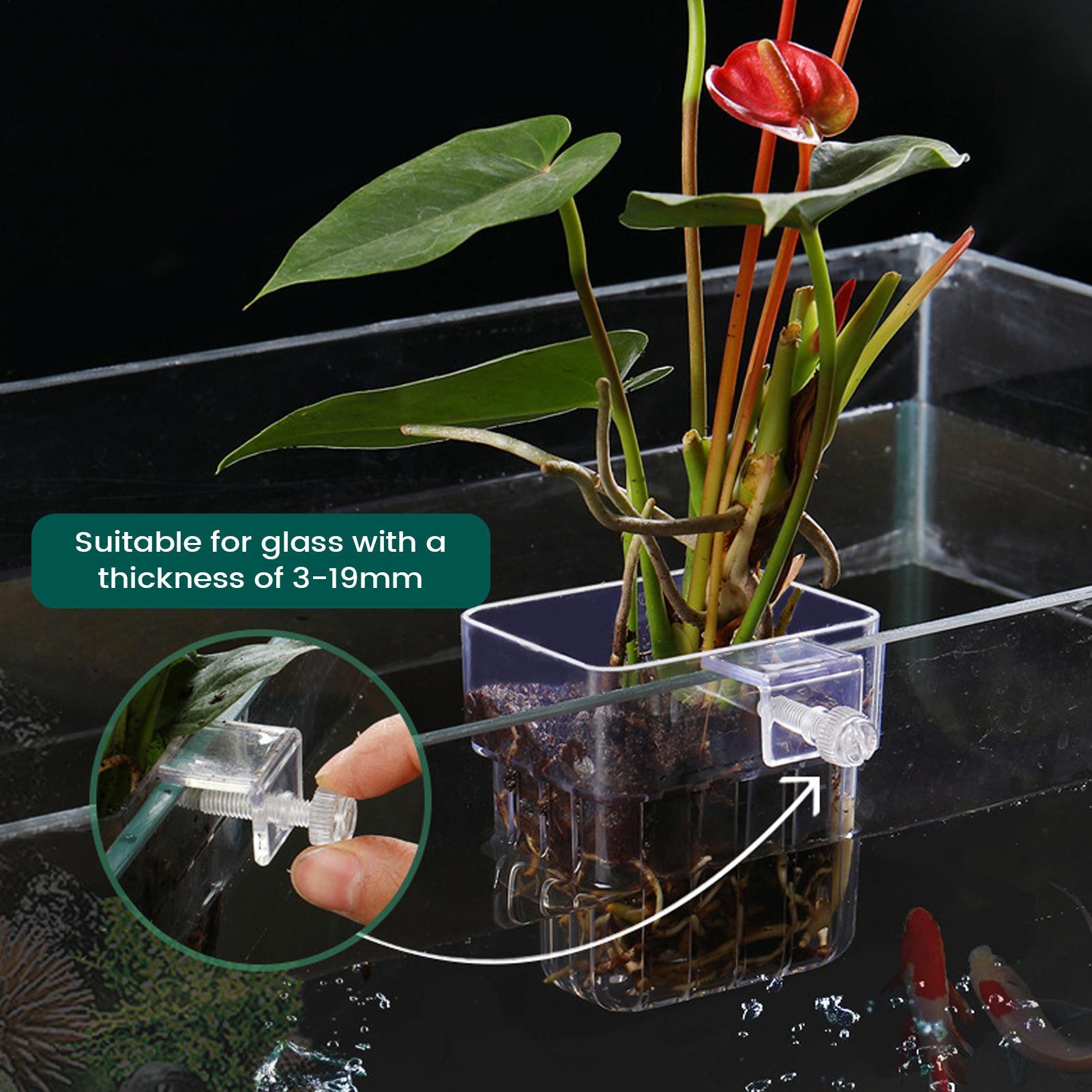 حامل نباتات الأحواض المائية ال - مراجعة Plant Aquarium Pot وسعره
