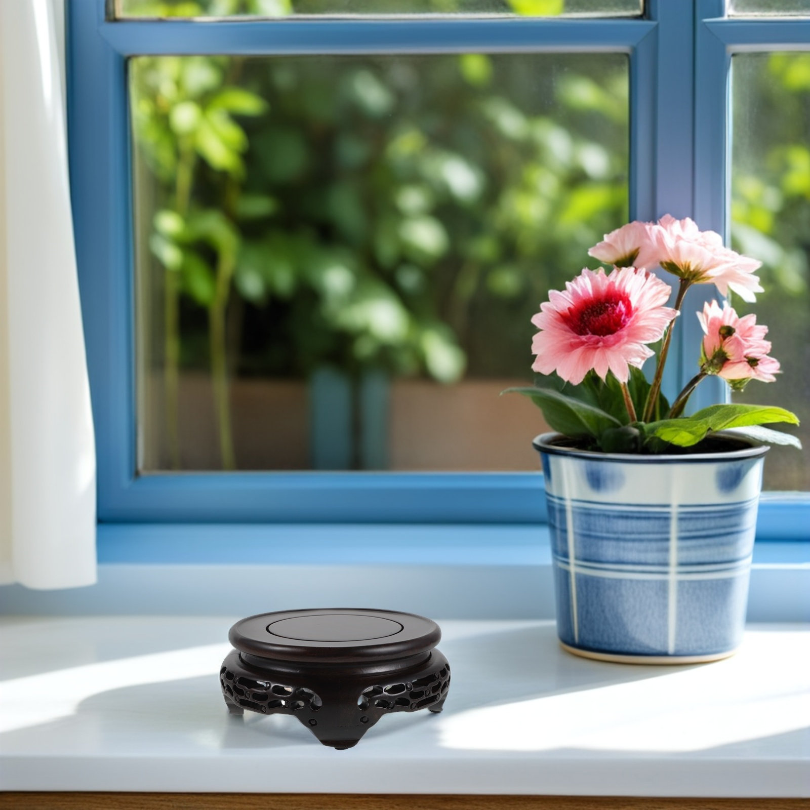 حامل عرض مزهريات خشبي، قاعدة م - مراجعة Aquarium Plant Holder وسعره
