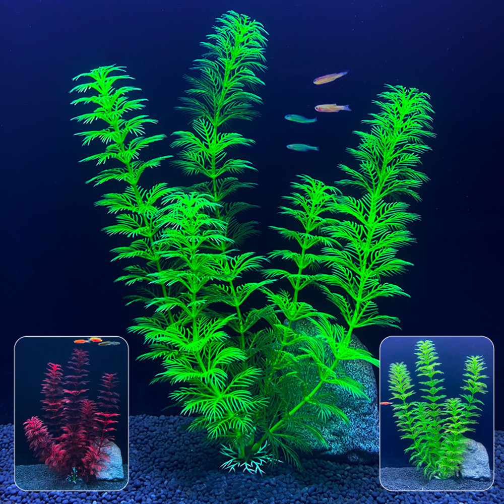 نباتات اصطناعية للأحواض المائي - مراجعة Live Plant Aquarium وسعره