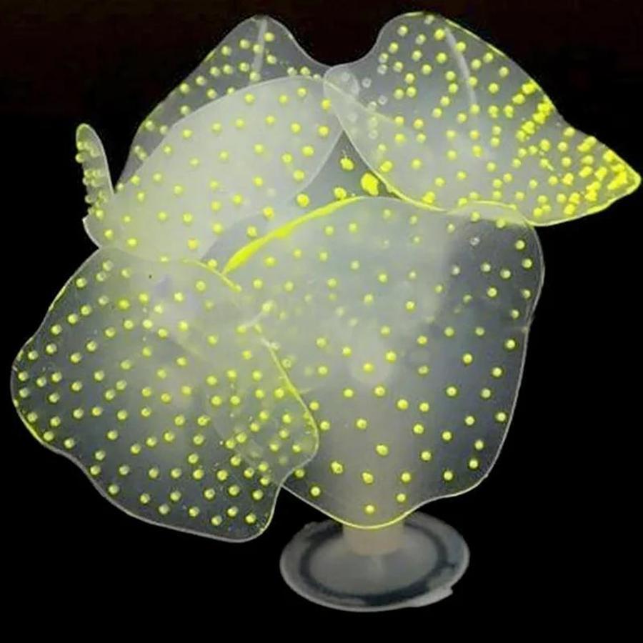 زينة مرجانية ملونة لحوض السمك، - مراجعة Aquarium Plant Substrate وسعره