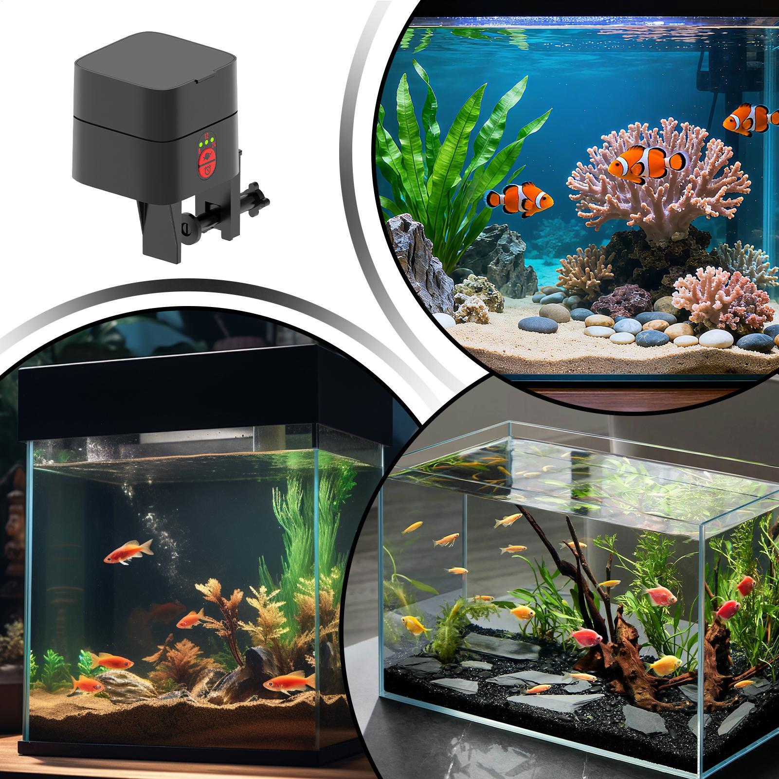 موزع طعام أوتوماتيكي للأسماك ف - مراجعة Aquarium Fertilizer وسعره
