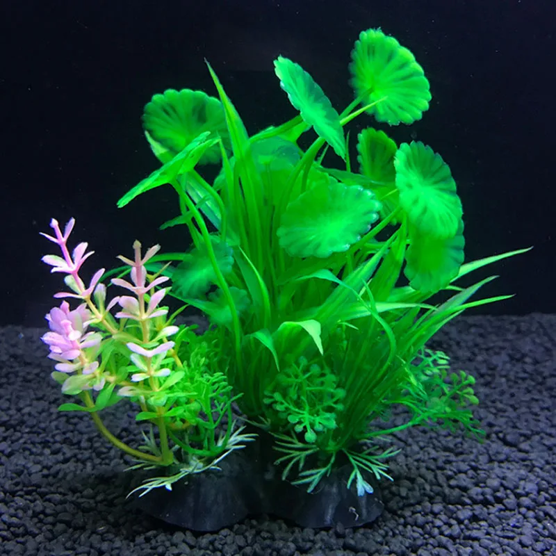 حوض السمك نباتات الديكور الاصط - مراجعة Live Plant Aquarium وسعره