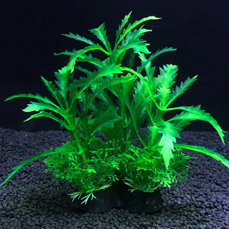 حوض السمك نباتات الديكور الاصط - مراجعة Live Plant Aquarium وسعره