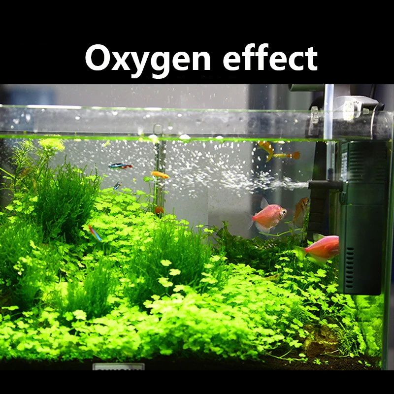 مضخة أكسجين غاطسة SUNSUN Mini  - مراجعة Aquarium Planted Tank Filter وسعره