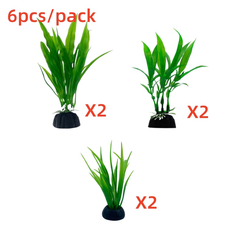6 قطع من نباتات حوض السمك، زين - مراجعة Aquarium Plants Live وسعره